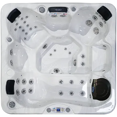 Avalon EC-849L hot tubs for sale in Mountain View