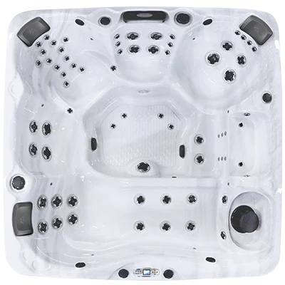 Avalon EC-867L hot tubs for sale in Mountain View